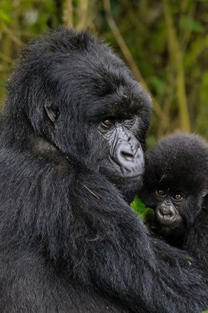 Uganda